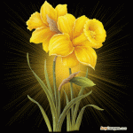 الصورة الرمزية abouali